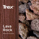 Trex_ColourLavaRock.jpg.jpeg Trex_ColourLavaRock.jpg.jpeg